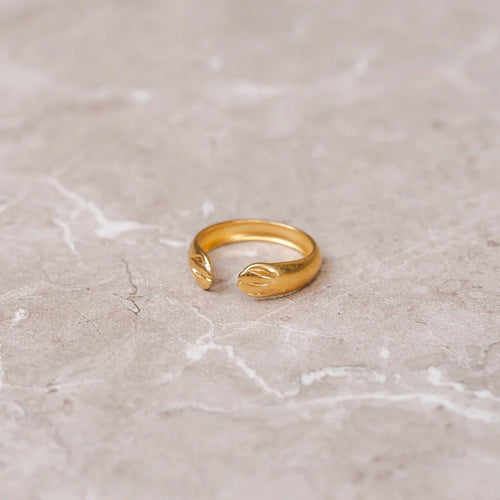 Anel Abraço Ajustável Banhado em Ouro 18K