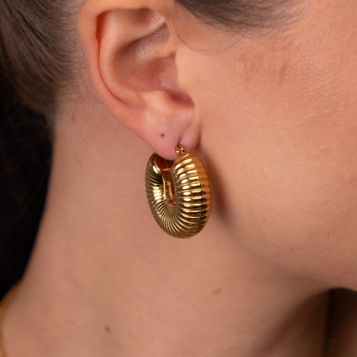 Brincos de Argolas Bold Ziza Banhado em Ouro 18k